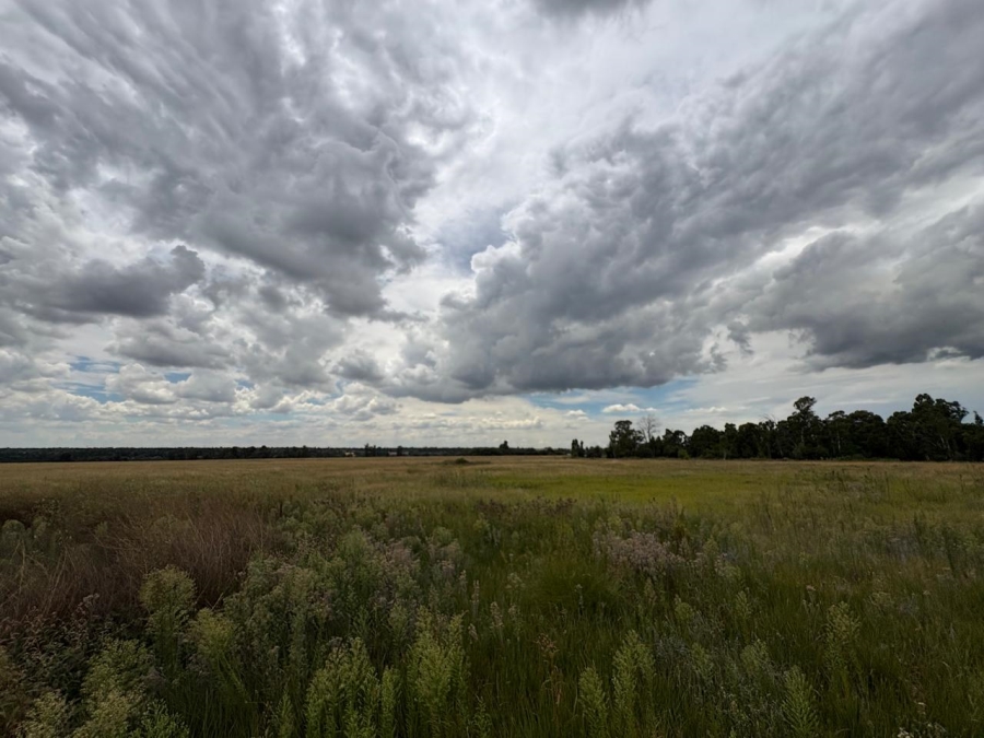 0 Bedroom Property for Sale in Vaalpark Free State